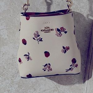 Rare COACH lady bug bucket bag
